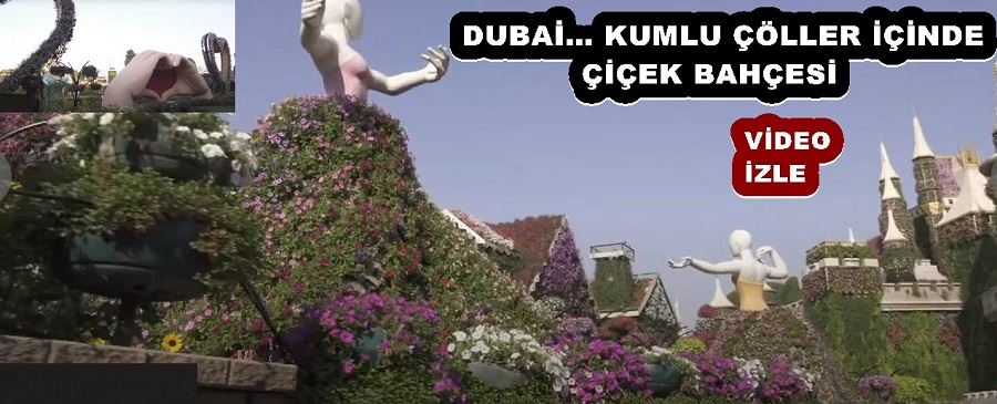 DUBAİ… KUMLU ÇÖLLER İÇİNDE ÇİÇEK BAHÇESİ 