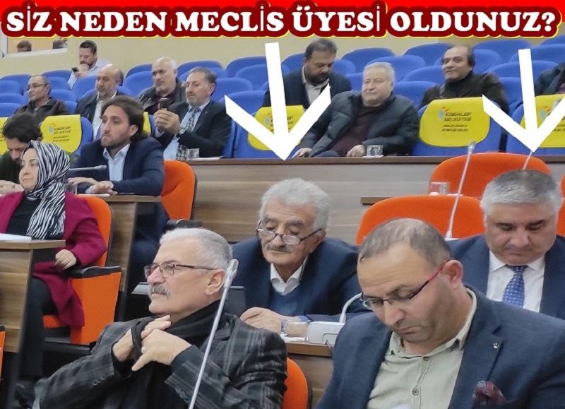 SİZ NEDEN MECLİS ÜYESİ OLDUNUZ?