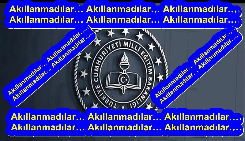  MEB’İN İSMAİLAĞA  CEMAATİ İLE İŞBİRLİĞİ 