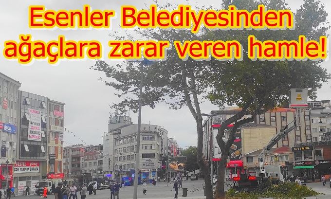 Esenler Belediyesinden ağaçlara zarar veren hamle!