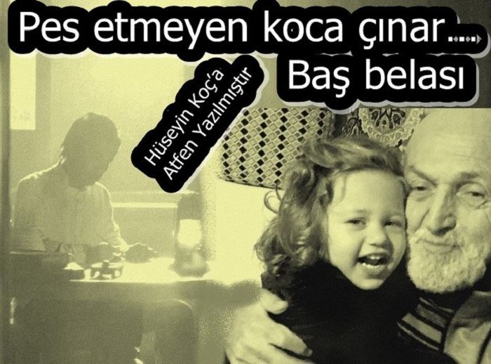 Pes etmeyen koca çınar… Baş belası