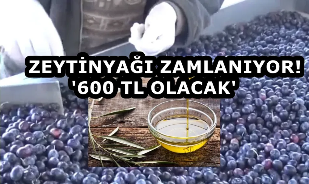 ZEYTİNYAĞI ZAMLANIYOR! 