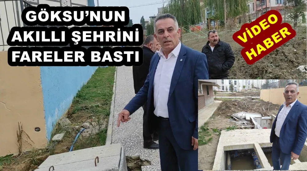 KARA: GÖKSU’NUN AKILLI ŞEHRİNİ FARELER BASTI 
