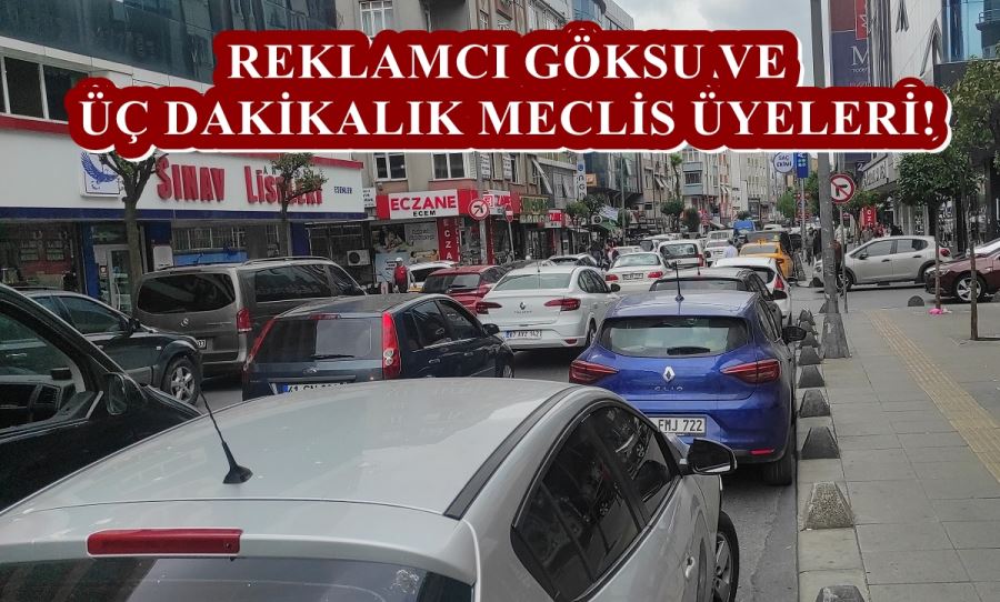 REKLAMCI GÖKSU VE ÜÇ DAKİKALIK MECLİS ÜYELERİ!
