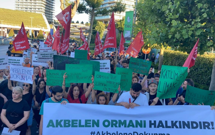 TİP, : 