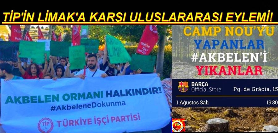 TİP