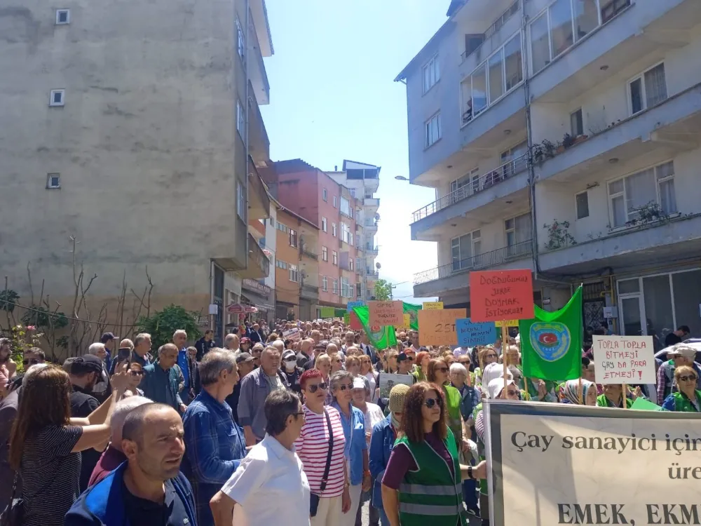 ÇAY YÜRÜYÜŞÜ İLE KARADENİZ DALGALANDI!