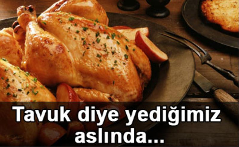 Yediğiniz Tavuklar Tavuk Değil!
