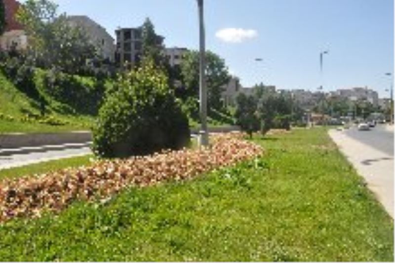 ÇİNÇİN DERESİ ÇİÇEKLENDİ  