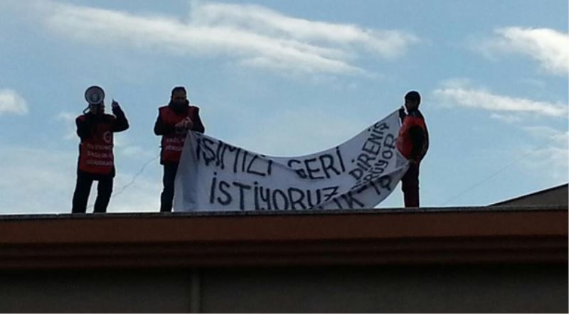 ‘İşimi geri istiyorum