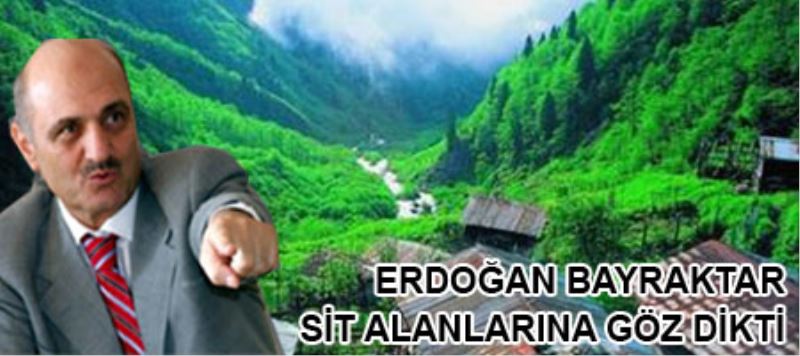 AKP, Sit Alanı Koruma Kurulu