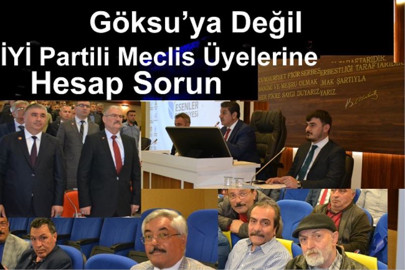 Göksu