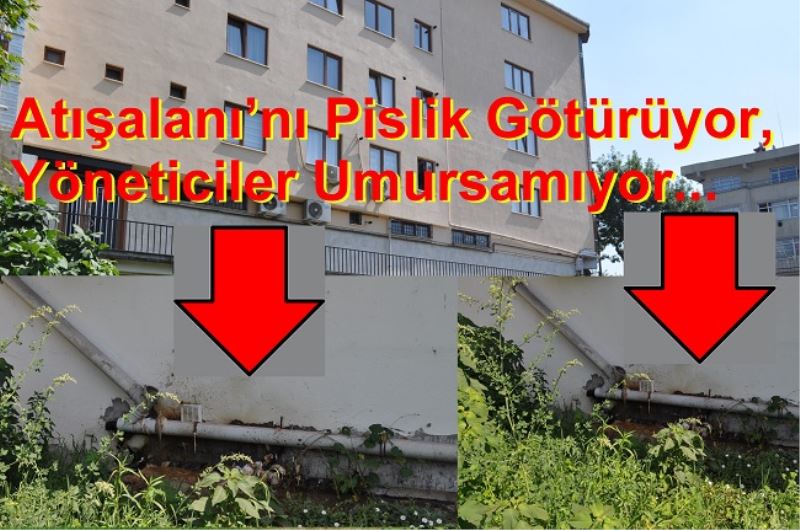 Atışalanı