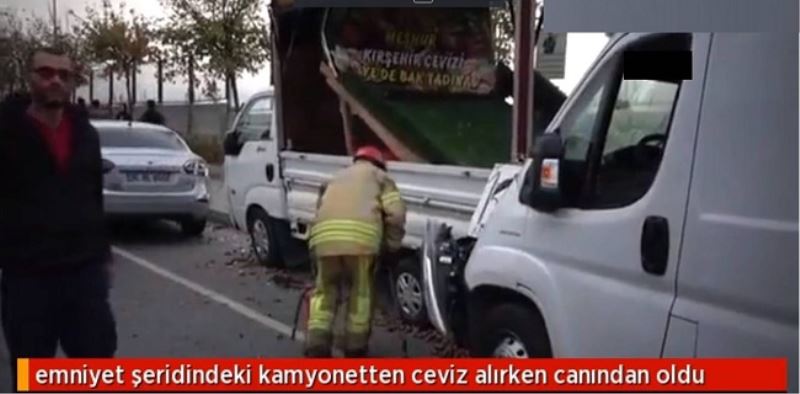 Emniyet şeridindeki kamyonetten ceviz alırken canından oldu