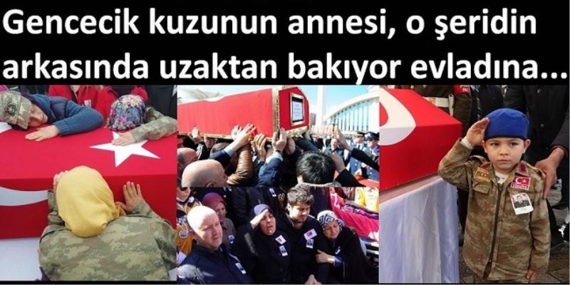Gencecik kuzunun annesi, o şeridin arkasında uzaktan bakıyor evladına...  