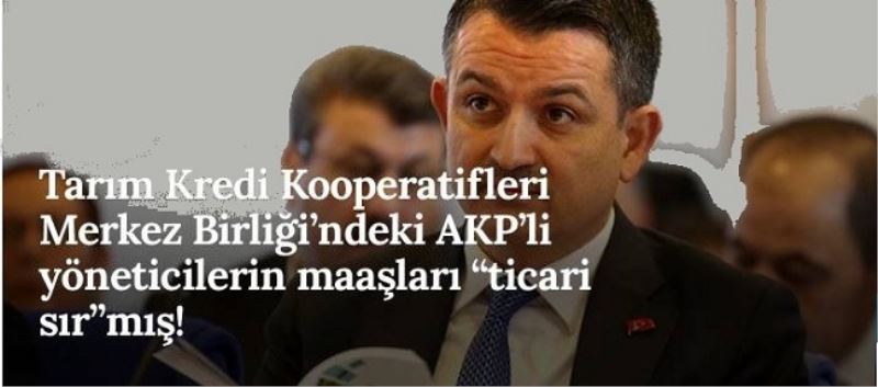 100 bin TL