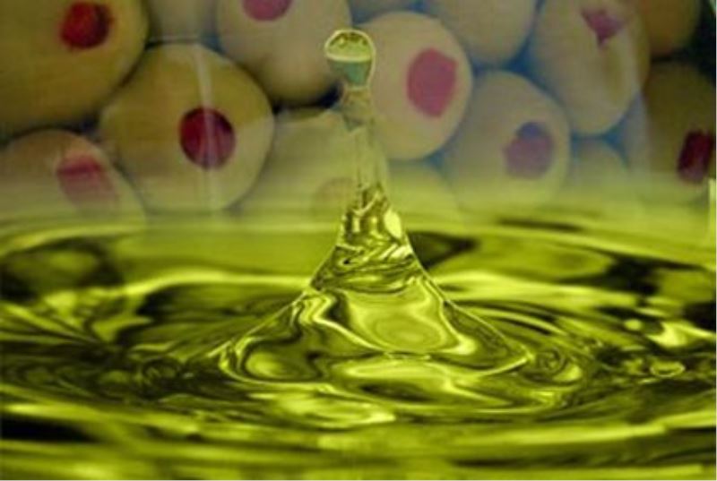 Kolesterol Artık Sorun Değil