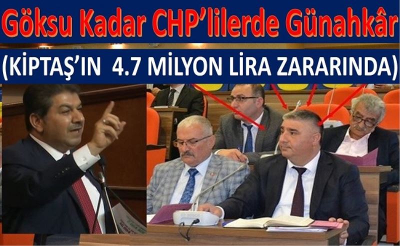 Göksu Kadar CHP
