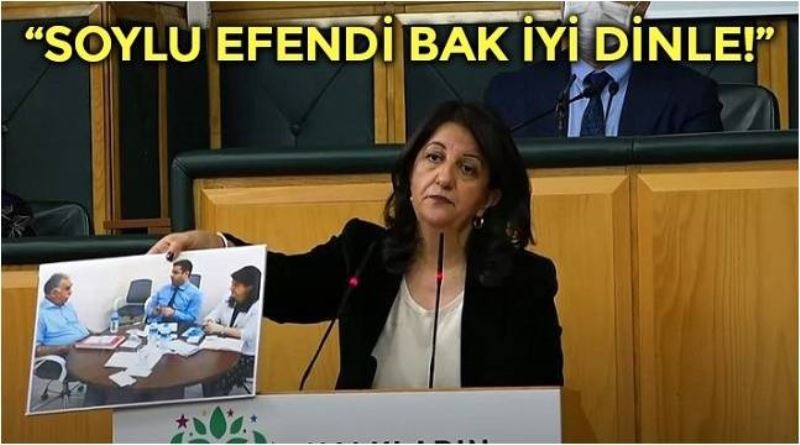 Pervin Buldan, Soylu