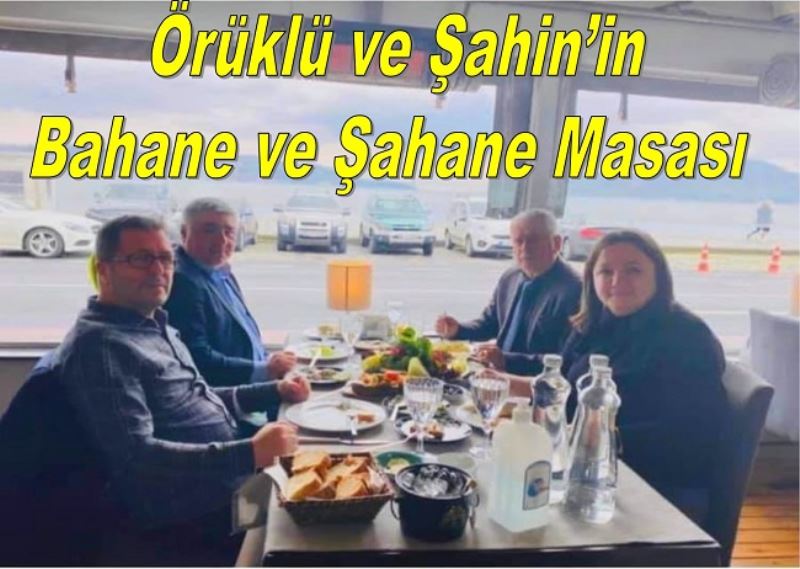 Örüklü ve Şahin