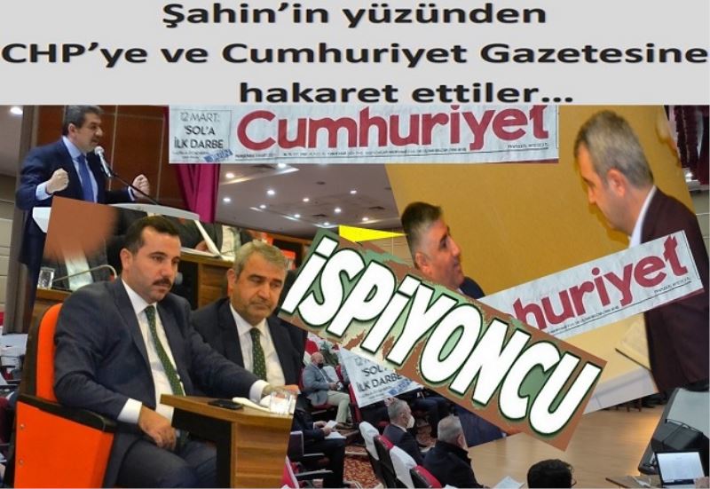 Şahin
