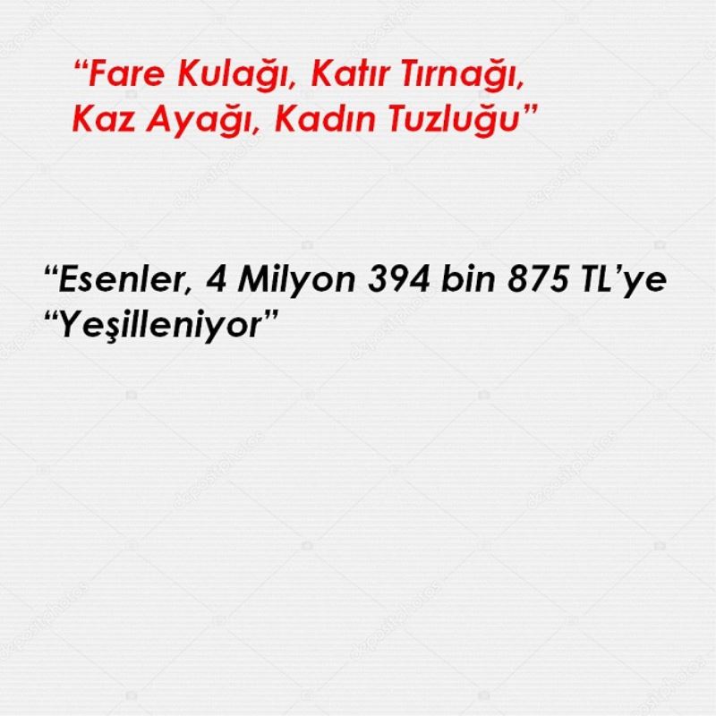 Esenler, 4 Milyon 394 bin 875 TL