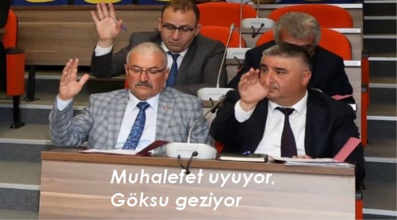 Muhalefet uyuyor, Göksu geziyor