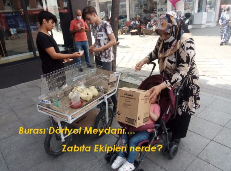 Sessiz lütfen Zabıta uyuyor