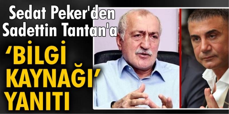 Sedat Peker