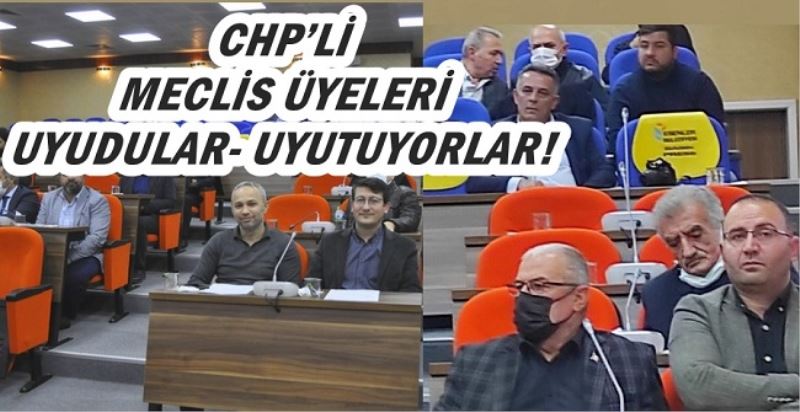CHP