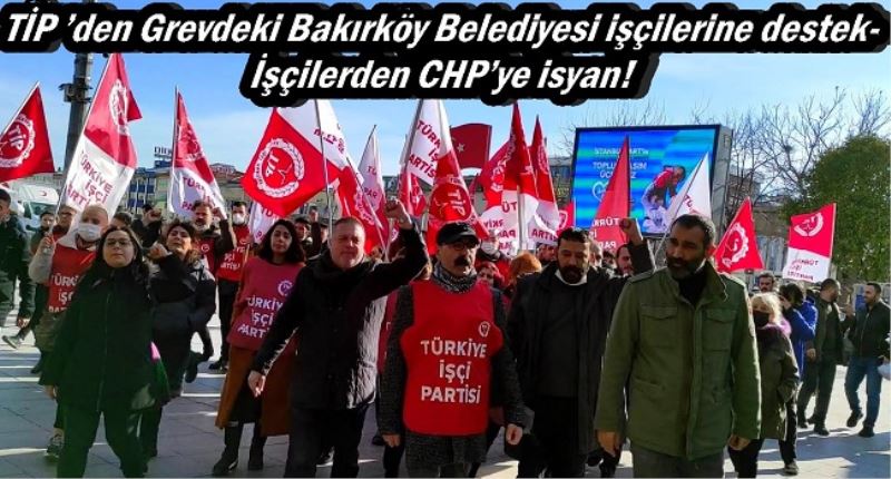 TİP 