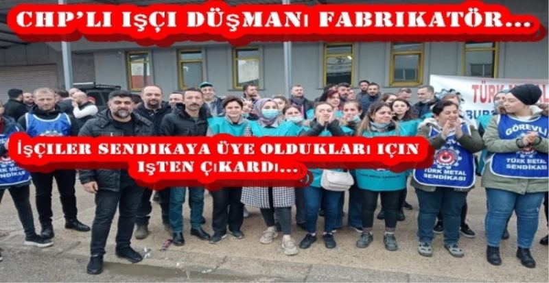 CHP