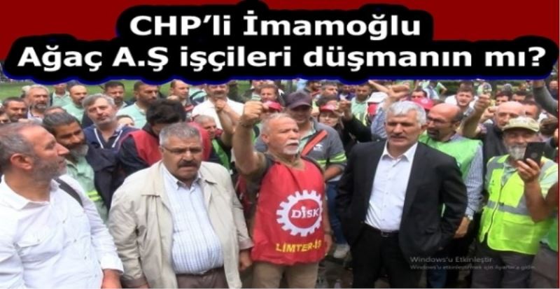 CHP