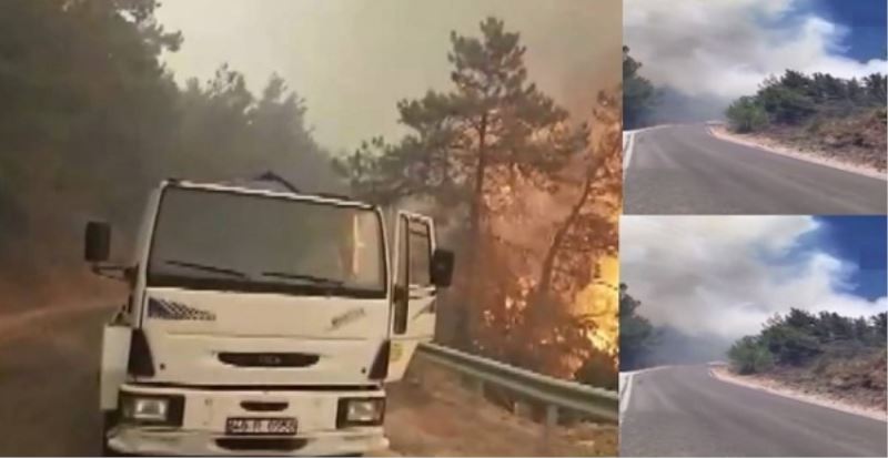 Datça ormanlar alev alev! Alevler yayılıyor